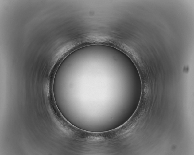 X0000091070582200708131154