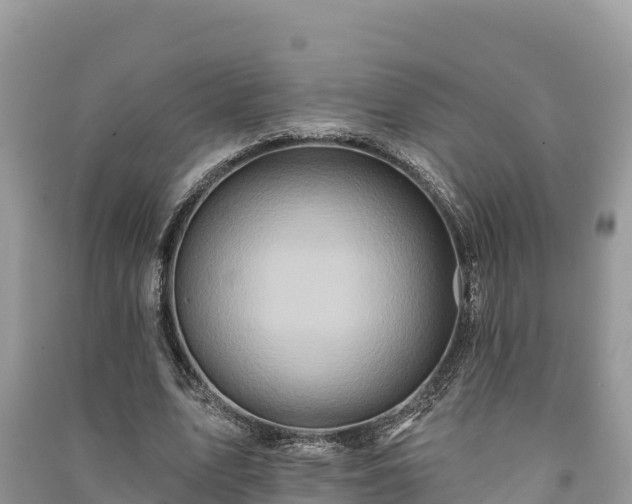 X0000091070583200708131154