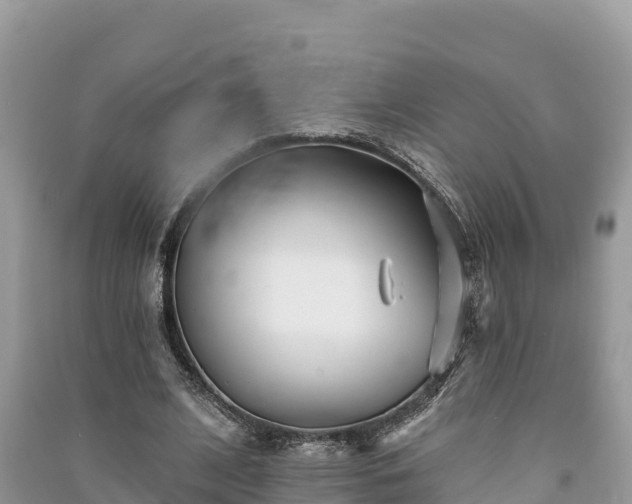 X0000091070584200708131154