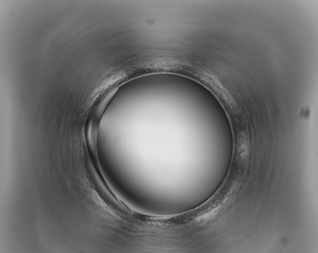 X0000091070585200708131154