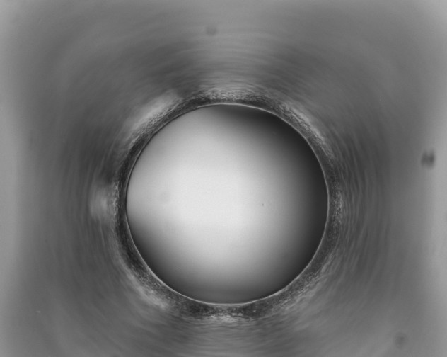 X0000091070586200708131154