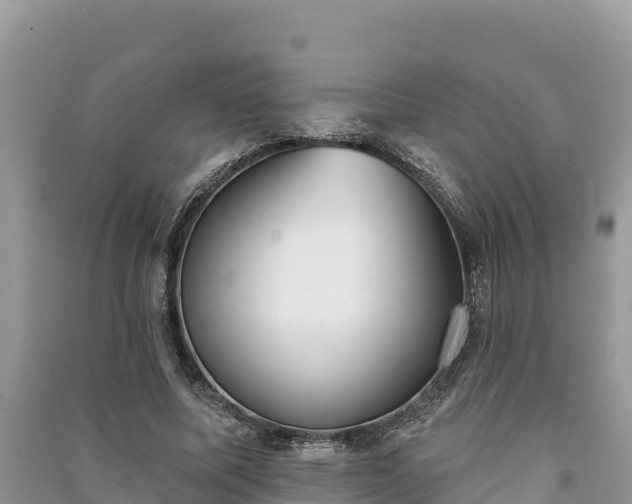 X0000091070587200708131154