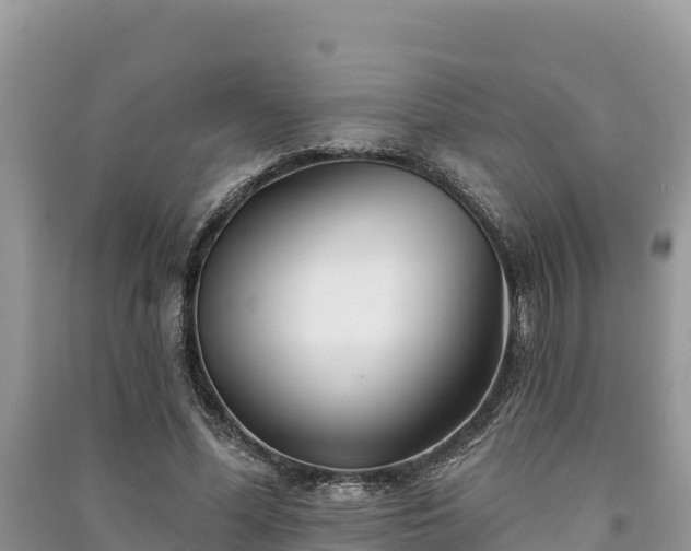 X0000091070588200708131154