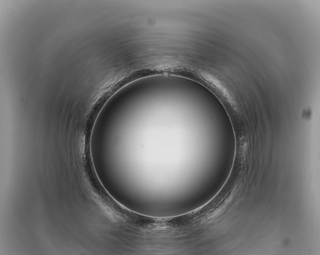 X0000091070589200708131154