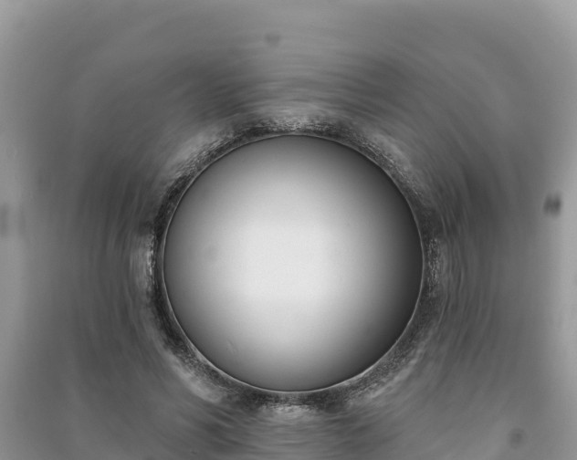 X0000091070590200708131154