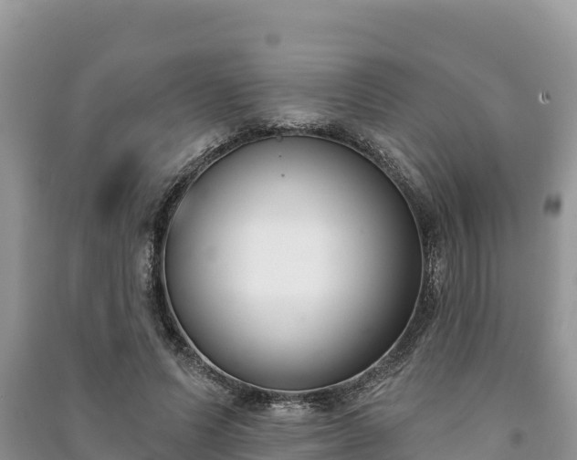 X0000091070591200708131154