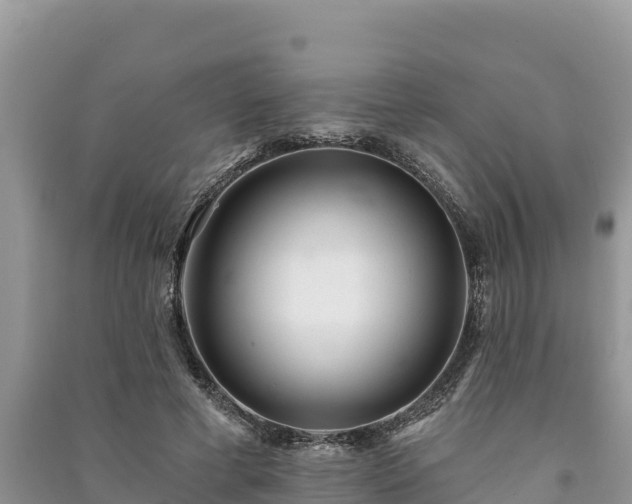 X0000091070593200708131154