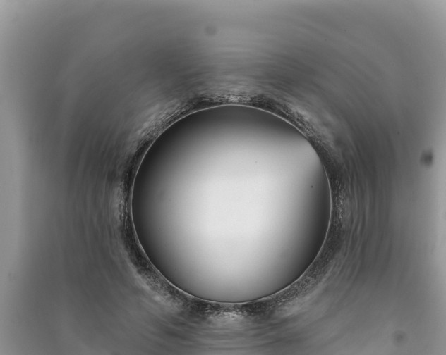 X0000091070594200708131154