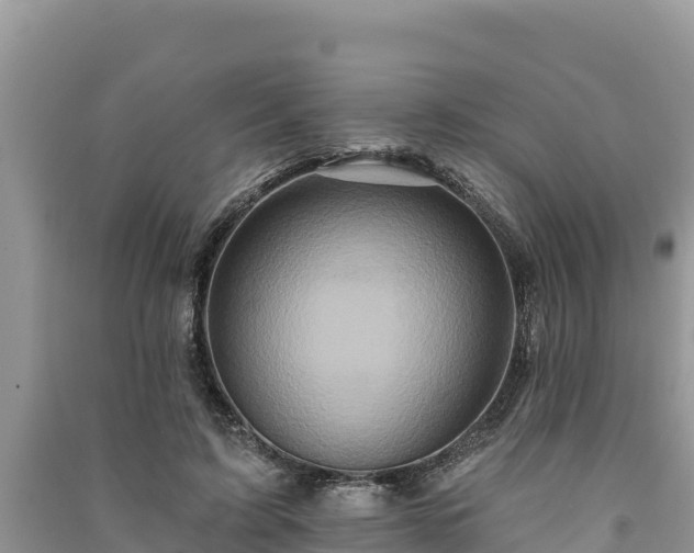 X0000091070595200708131154