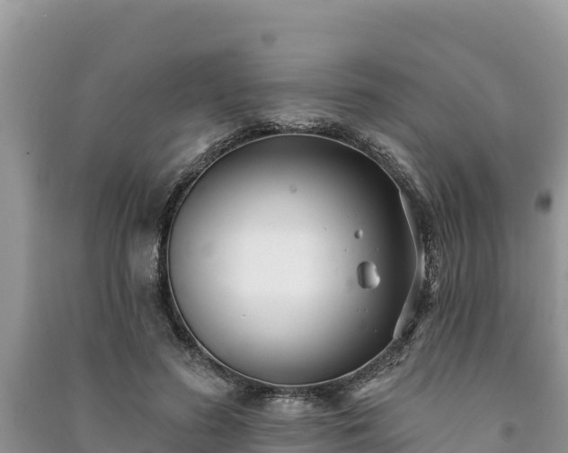 X0000091070596200708131154