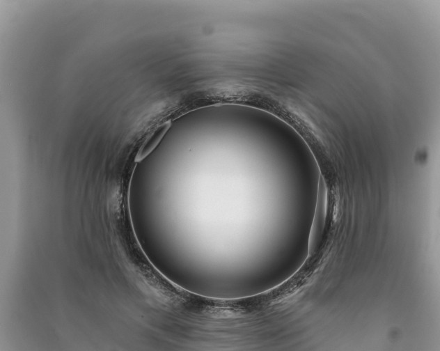 X0000091070597200708131154