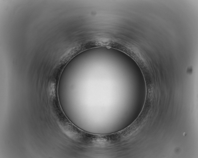 X0000091070598200708131154