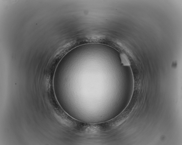 X0000091070599200708131154
