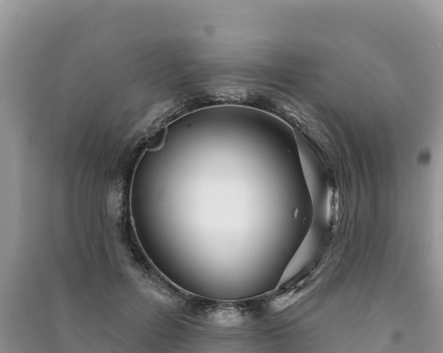 X0000091070600200708131154