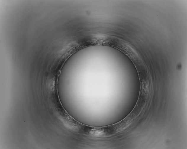 X0000091070602200708131154