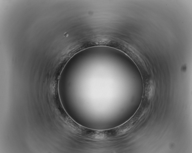 X0000091070604200708131154