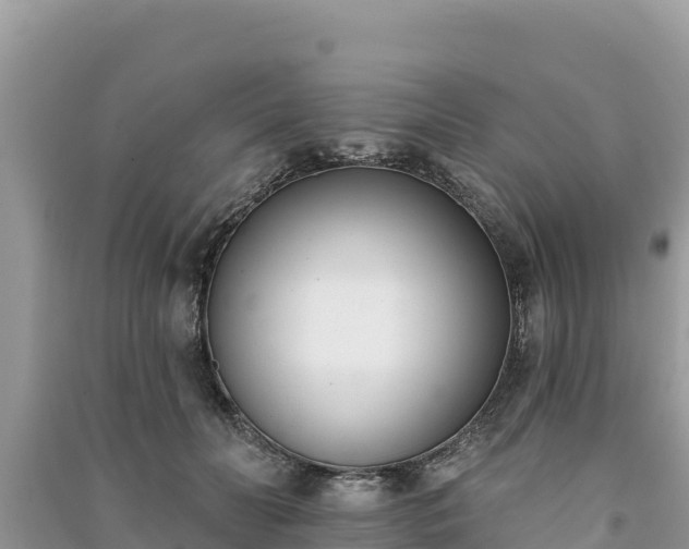 X0000091070606200708131154