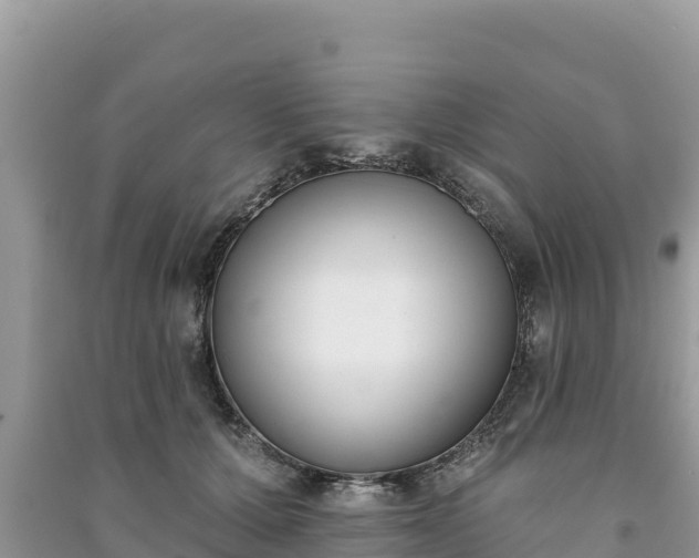 X0000091070607200708131154