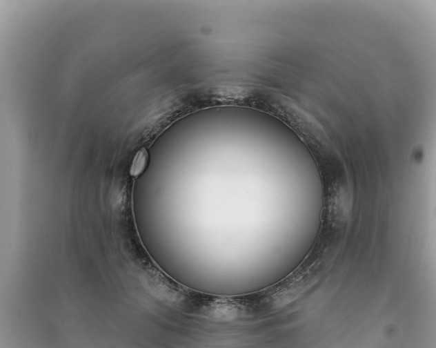 X0000091070608200708131154