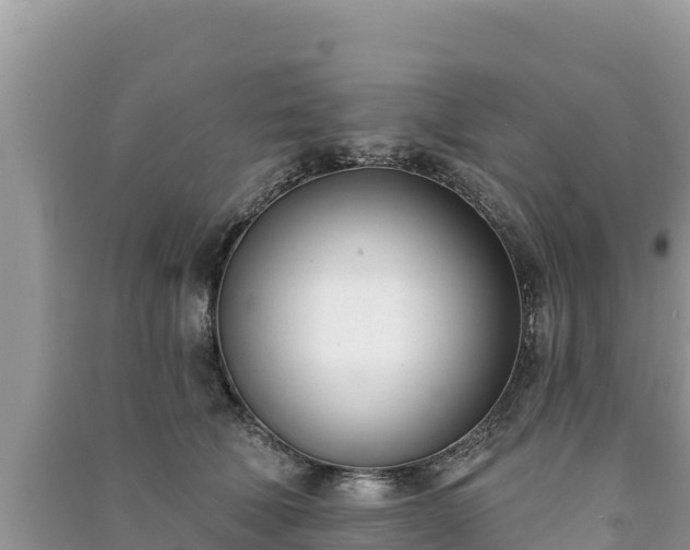 X0000091070610200708131154