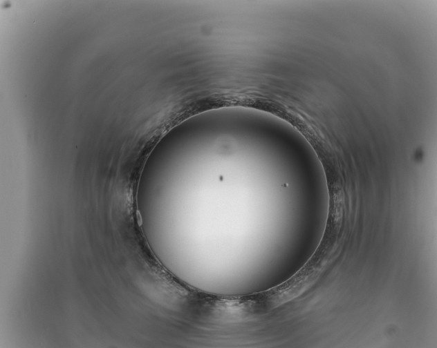 X0000091070613200708131154