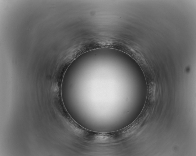 X0000091070614200708131154