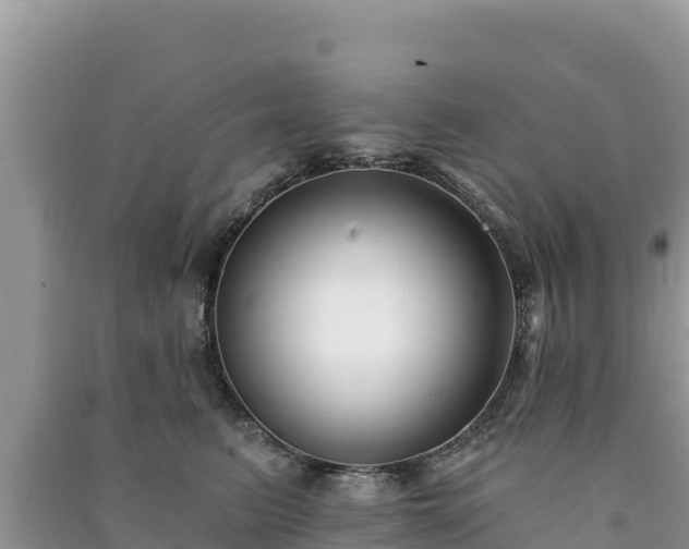 X0000091070615200708131154