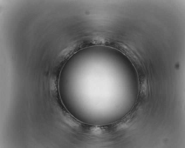 X0000091070616200708131154