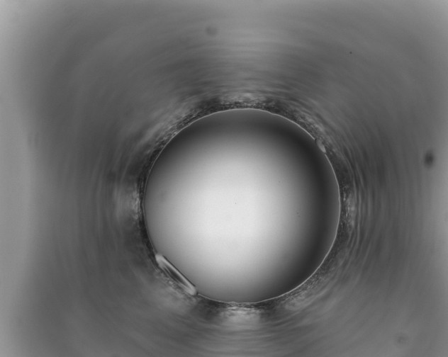 X0000091070617200708131154