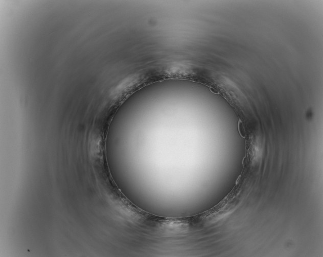 X0000091070619200708131154