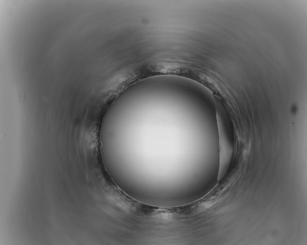 X0000091070620200708131154