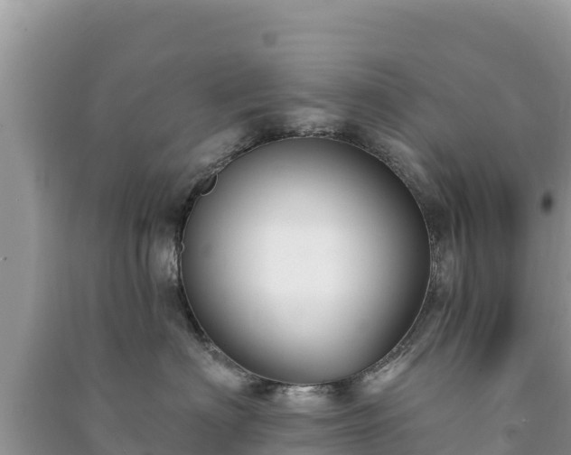 X0000091070622200708131154