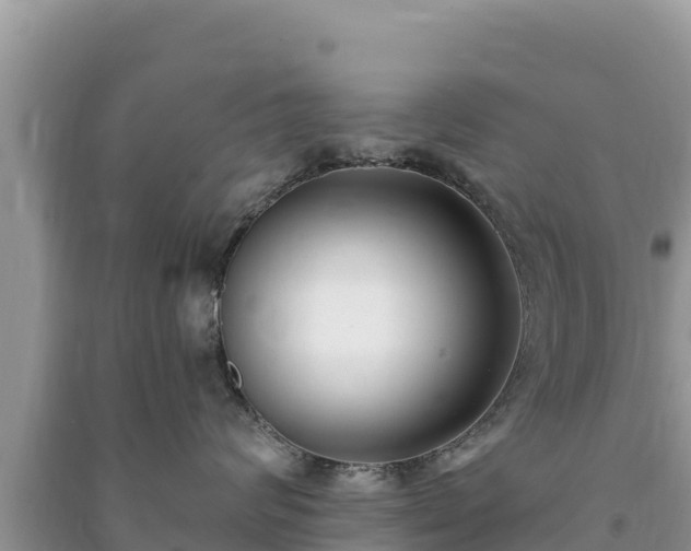 X0000091070624200708131154