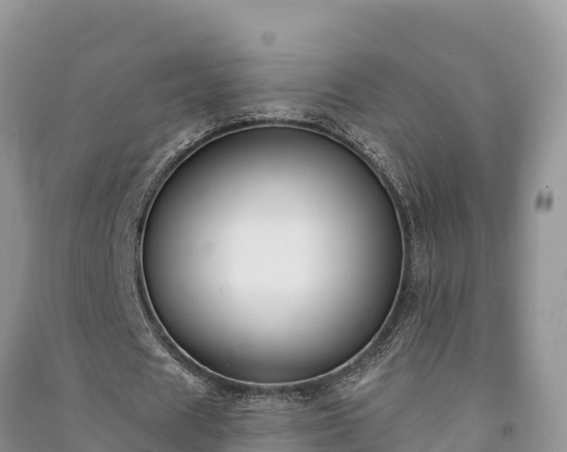 X0000091070625200708131153