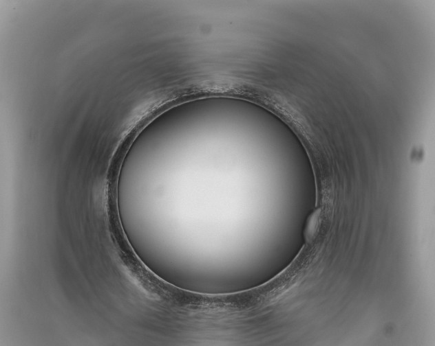 X0000091070626200708131153