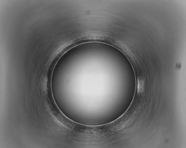 X0000091070627200708131153