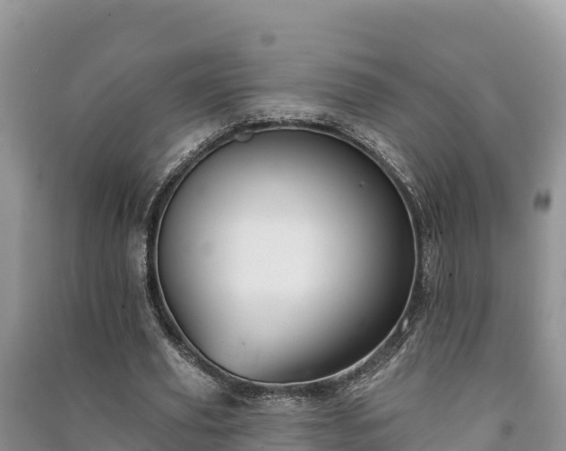 X0000091070629200708131153