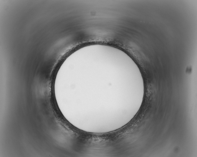 X0000091070632200708131153