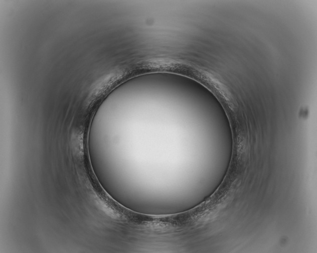 X0000091070633200708131153