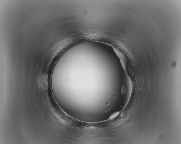 X0000091070634200708131153