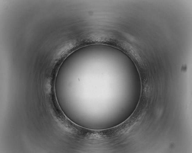 X0000091070635200708131153
