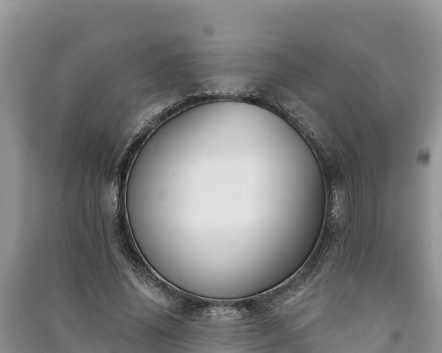 X0000091070636200708131153