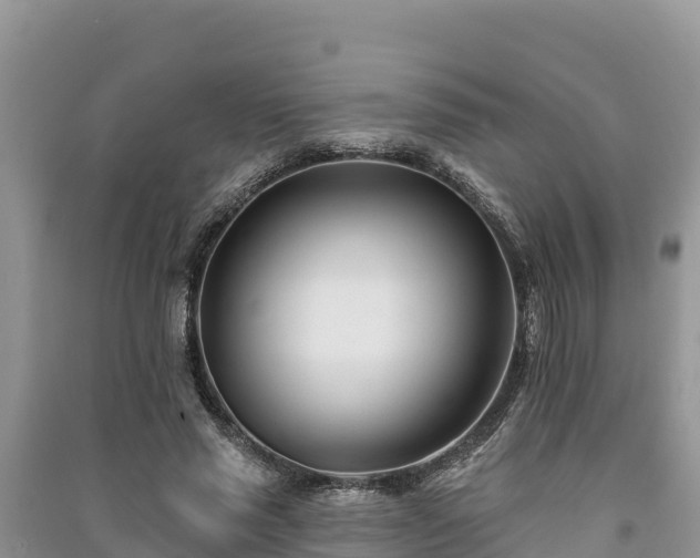 X0000091070637200708131153