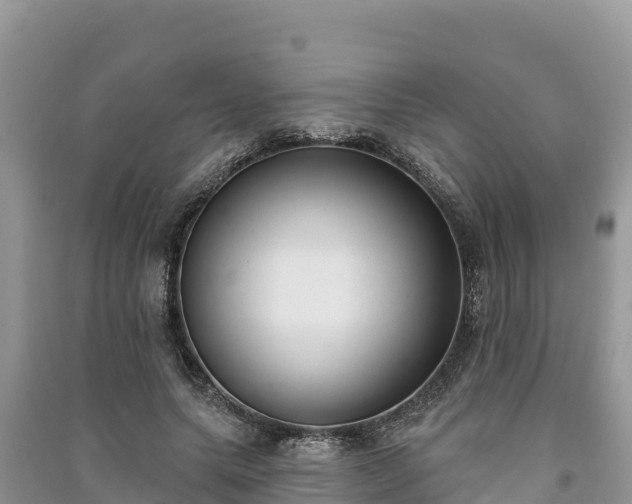 X0000091070639200708131153