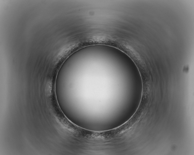 X0000091070640200708131153