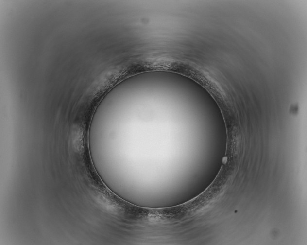 X0000091070641200708131153