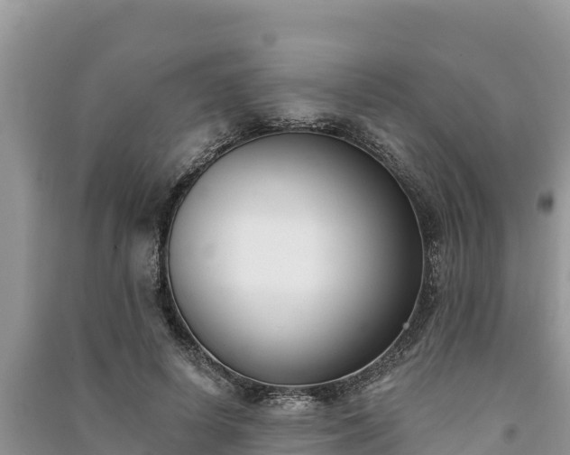 X0000091070642200708131153