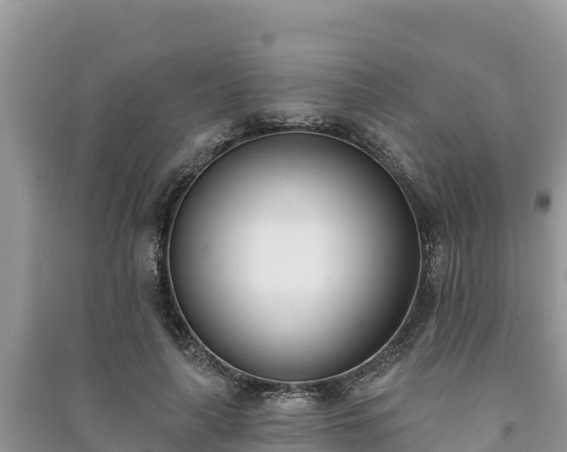 X0000091070643200708131153