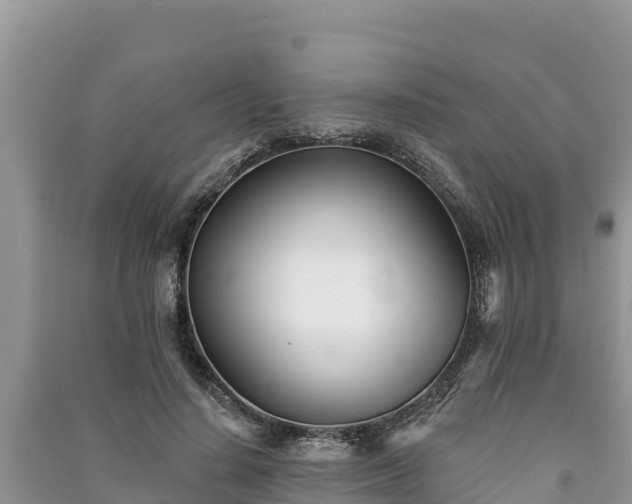 X0000091070644200708131153