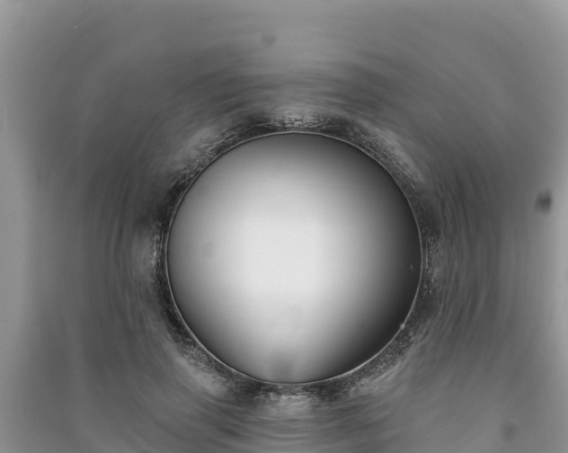 X0000091070645200708131153